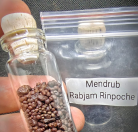 Blessing Mendrub Pill blessing Shechen Rabjam Rinpoche