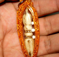 Blessing buddha Elephant Bone Kilaya with Buddha Relic Kamboja 1