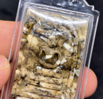 Blessing buddha Samroiyod black dragon type F