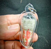 Blessing buddha Rare and best Kiew Jorakae Payawan by ajhan tim B.E. 2500 Type C