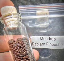 Blessing buddha Mendrub Pill blessing Shechen Rabjam Rinpoche