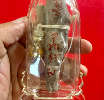 Blessing buddha Mae Bunting blessing Ajhan Tom 