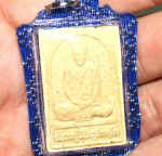 BlessingBuddha.Com (Show Only) Contoh Casing Waterproof warna emas (Blue)