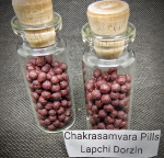 BlessingBuddha.Com Chakrasamvara Pill Blessing oleh Lapchi Dorzin Dhondup Palden Rinpoche