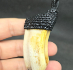 BlessingBuddha.Com Kruelang Wild Boar Teeth spesial batch by Ajhan Suk