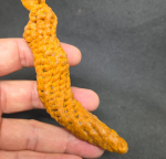 BlessingBuddha.Com Kruelang  raven claw by Ajhan Suk