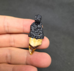 BlessingBuddha.Com Kruelang1 Wild Boar Teeth by Ajhan Suk