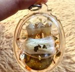 BlessingBuddha.Com BN, Tooth Namanprai Ajhan Vee